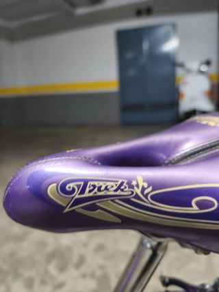 Bicicleta Trek Morada Niños 6-10 Años