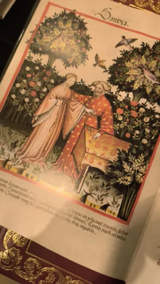 TACUINUM SANITATIS CASARIEGO FACSIMIL