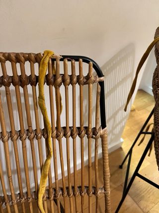 Sillas de ratán con cojín amarillo