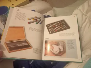 Libro Pastel curso de dibujo y pintura
