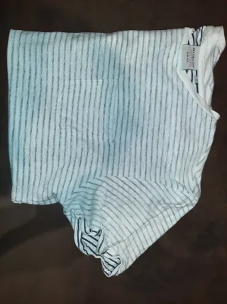 T-shirt uomo righe azzurre e bianche