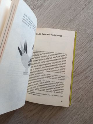 Nuevos trabajos manuales para niños y adultos