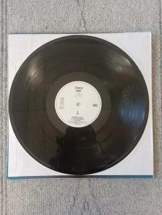 Vinilo SAU  Concert de Mitjanit