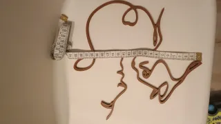 Decorazione parete gatto e donna line art marrone