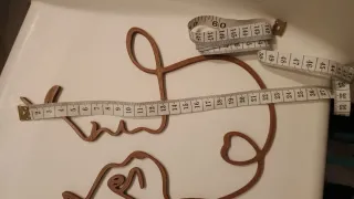 Decorazione parete gatto e donna line art marrone