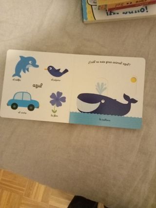 El pequeño libro de los colores