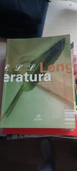 Lengua castellana y literatura 1 bachillerato