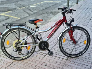 Bicicleta Robo 24