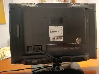 Monitor NPG 19" Negro