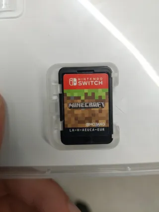 Minecraft Nintendo Switch