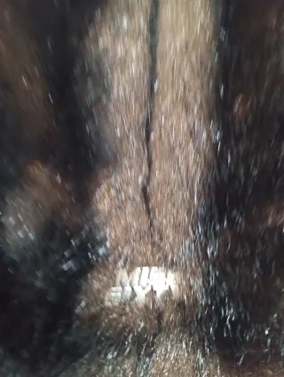 Chaqueta Reversible Miss Sixty Negra y Marrón