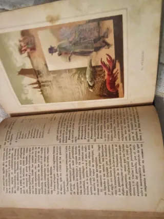 Antiguo diccionario de cocina,A. MURO