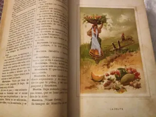 Antiguo diccionario de cocina,A. MURO