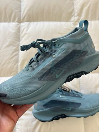 Nike Pegasus Trail 5 GTX