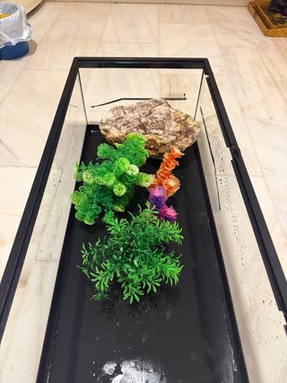 Acuario Tortugas con Plantas y Roca