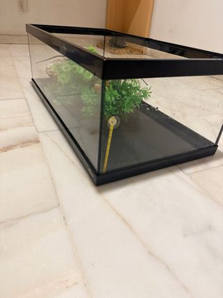 Acuario Tortugas con Plantas y Roca