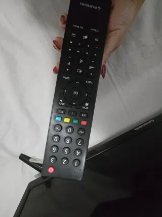 TV Grundig 22 Full HD