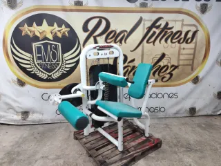Máquina Femoral Sentado