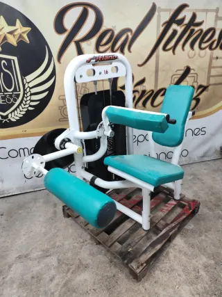 Máquina Femoral Sentado