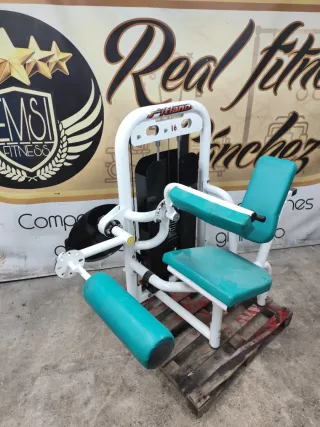 Máquina Femoral Sentado