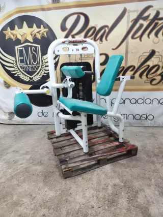 Máquina Femoral Sentado