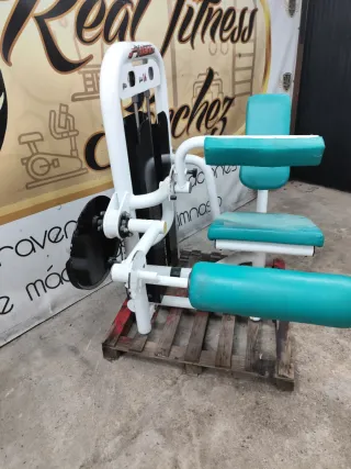 Máquina Femoral Sentado