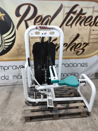 Máquina Gemelo Sentado