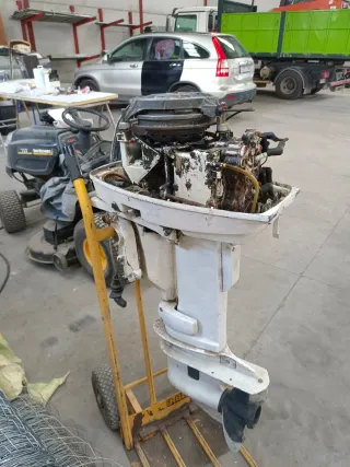 Motor fueraborda Johnson 30HP