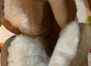 Stivaletti Prima Classe Beige/Marrone