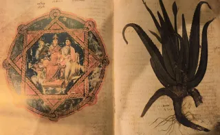 DIOSCORIDES  FACSIMIL, CODICE.