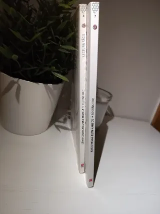 Pack de libros uno en euskera y otro en español