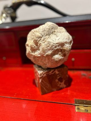 Figura joya escultura Carrera y carrera