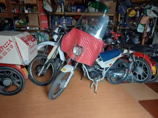 Careta pantalla clásica Mobylette vespino. Rieju