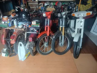 Mobylette vespinos. Rieju ford mondeo  t max 500.