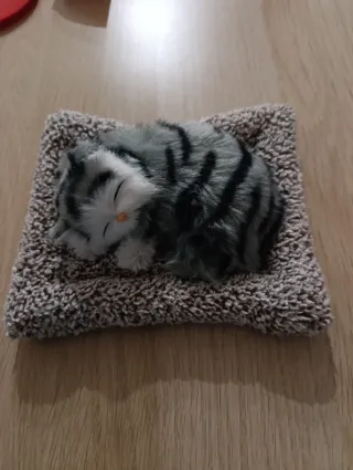 Peluche gato semillas