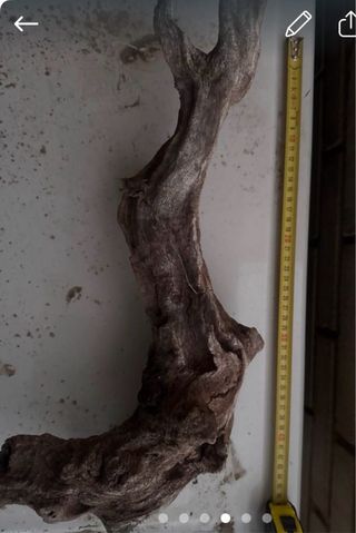 Troncos para acuario