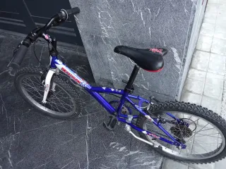Bicicleta infantil 20 pulgadas