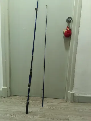 Caña Shimano Technium