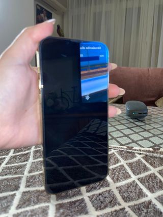 iPhone 13 Pro Max Dorado/Plateado