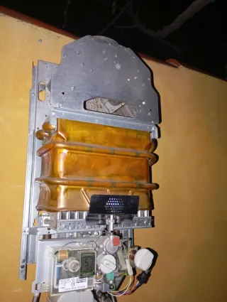 Calentador Junkers Gas Butano