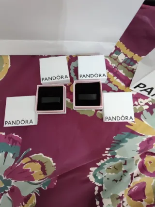 Caja y bolsa Pandora. Lo demás de regalo.