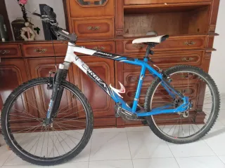 Bicicleta Orbea Master T Rodado 21
