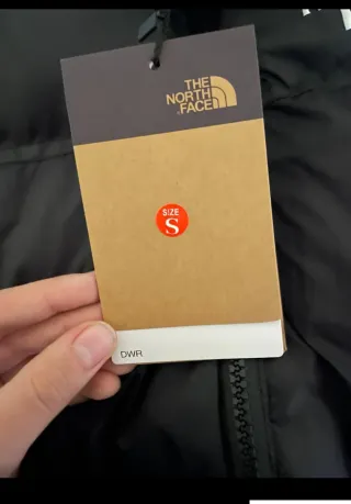 Chaleco acolchado Negro