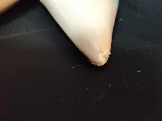 Zapatos de tacón Mango beige