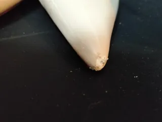 Zapatos de tacón Mango beige