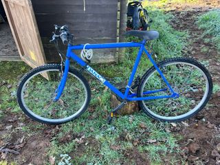 Bicicleta DANAO azul