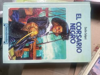 Libro el corsario negro