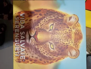 Juego de mesa en español