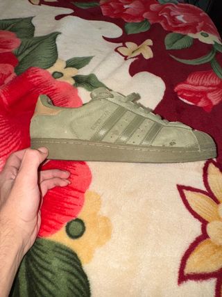Adidas Superstar Beige/Verde Talla 42