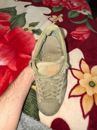 Adidas Superstar Beige/Verde Talla 42